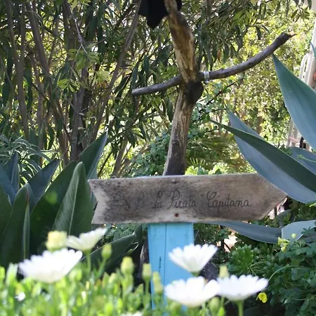 La Pirata Capitana Bed & Breakfast Costa degli Angeli