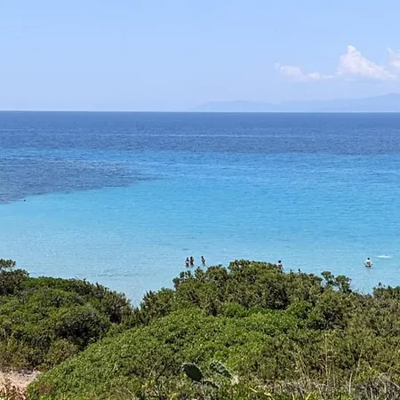 La Pirata Capitana 3*