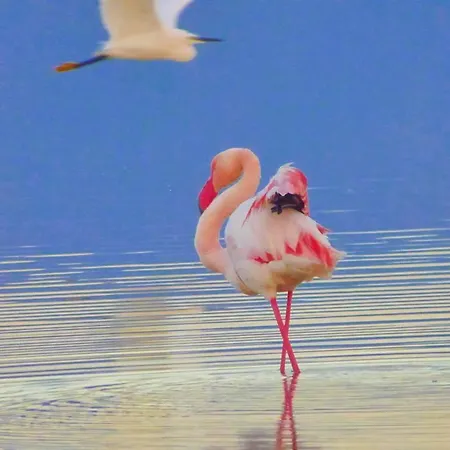 La Pirata Capitana Oda ve Kahvaltı 3*