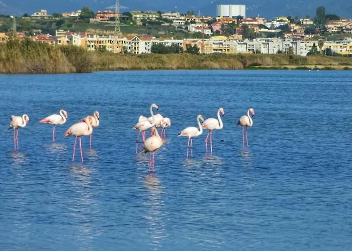 Alojamento de Acomodação e Pequeno-almoço La Pirata Capitana 3*